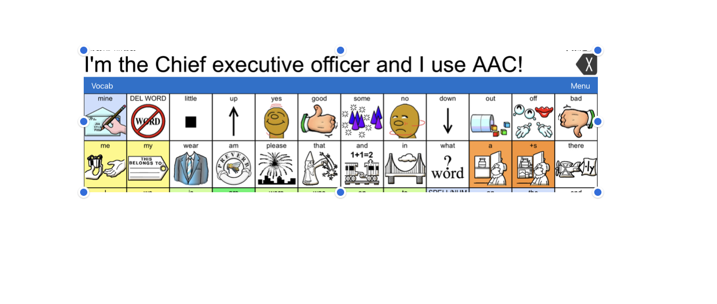 Yes, I’m The Chief Executive Officer, and I Use AAC!